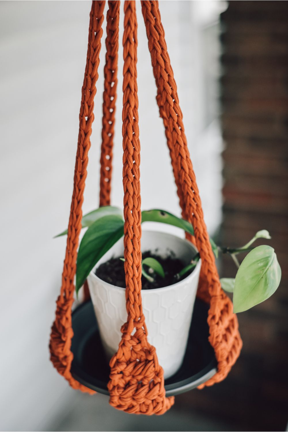 hanging plant holder crochet pattern Crochet hanging planter Kit – Knitznpurlz